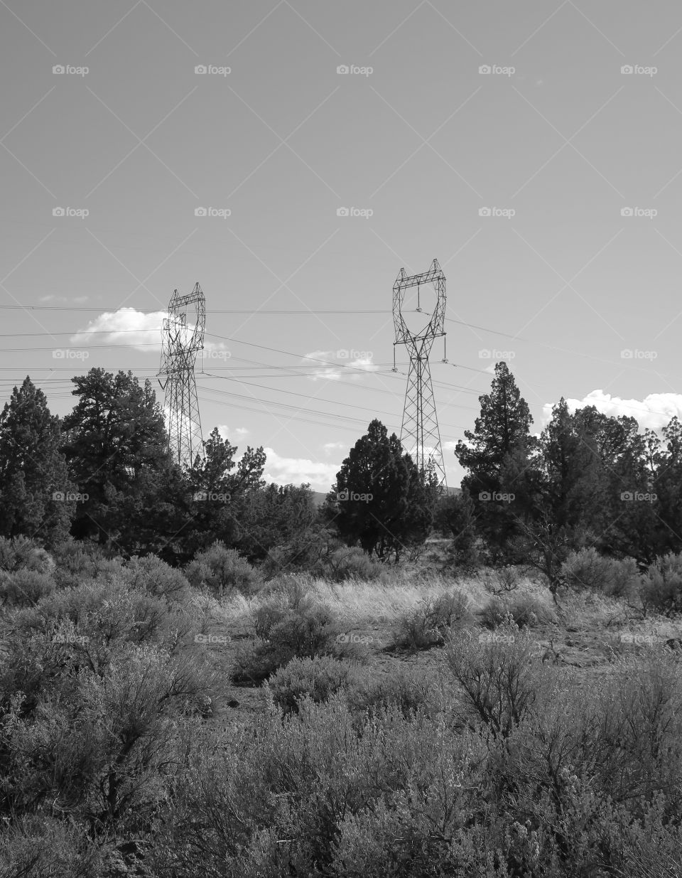 A pair of electric structures tower above the brush in Central Oregon. 