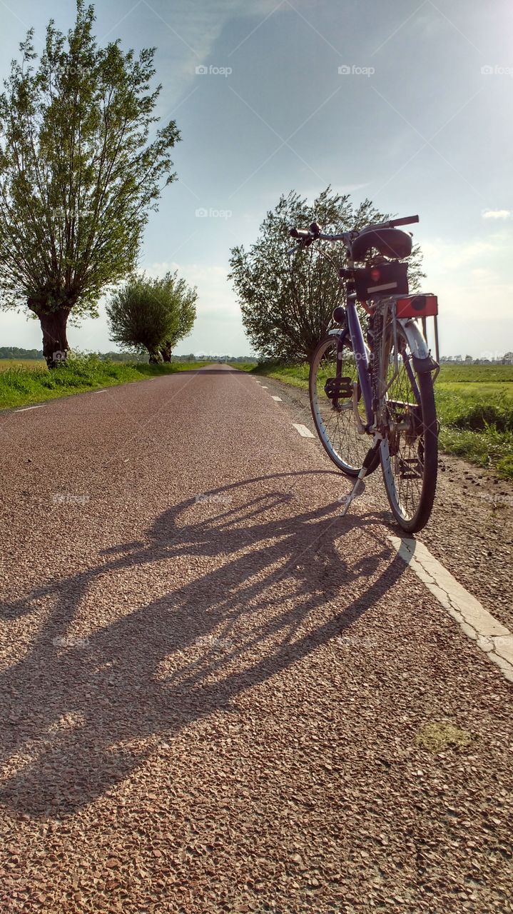 Bicycle in Dutch polder landscape