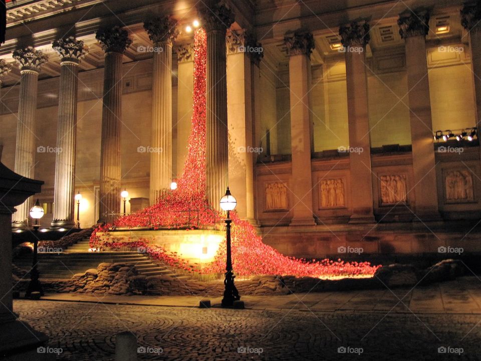 Poppies, Weeping Window