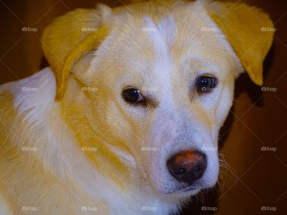 how much do you like this photo