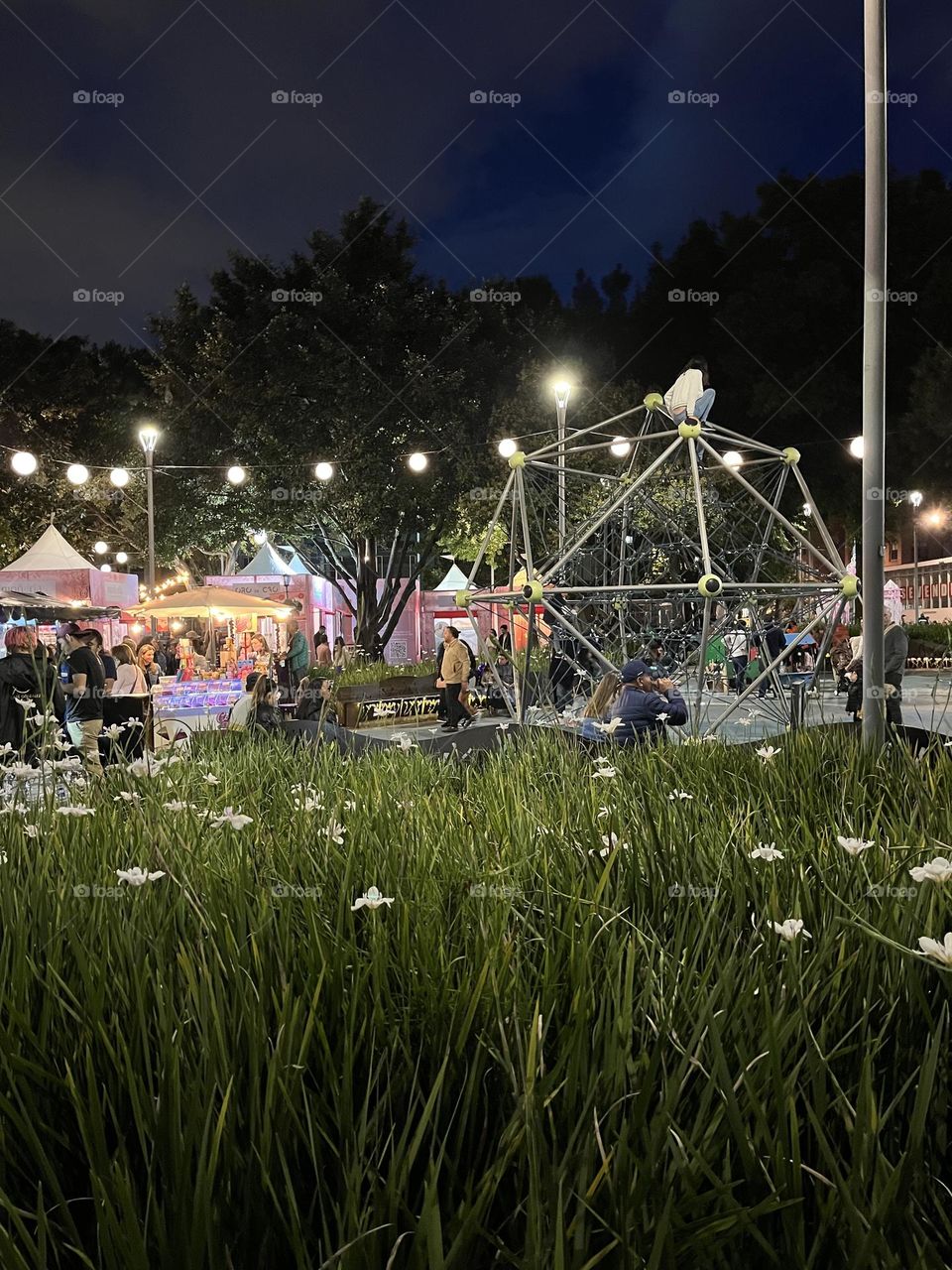 A crowd park at night 