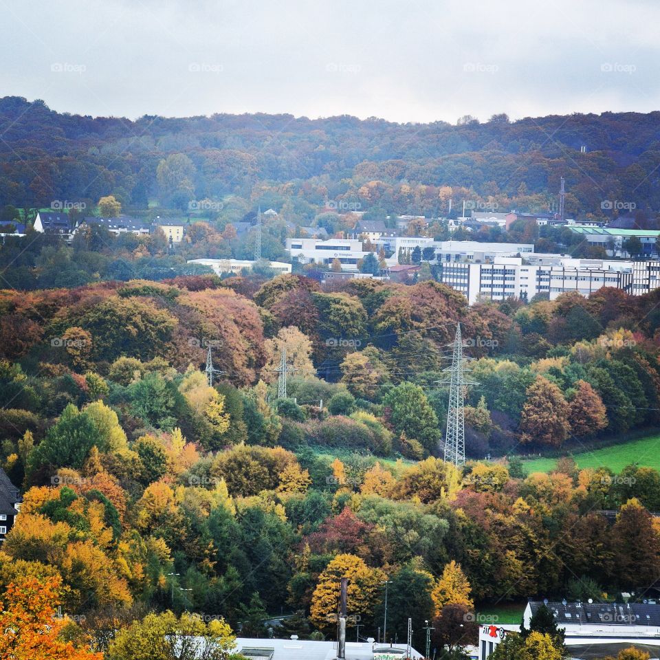 Autumn. Colours