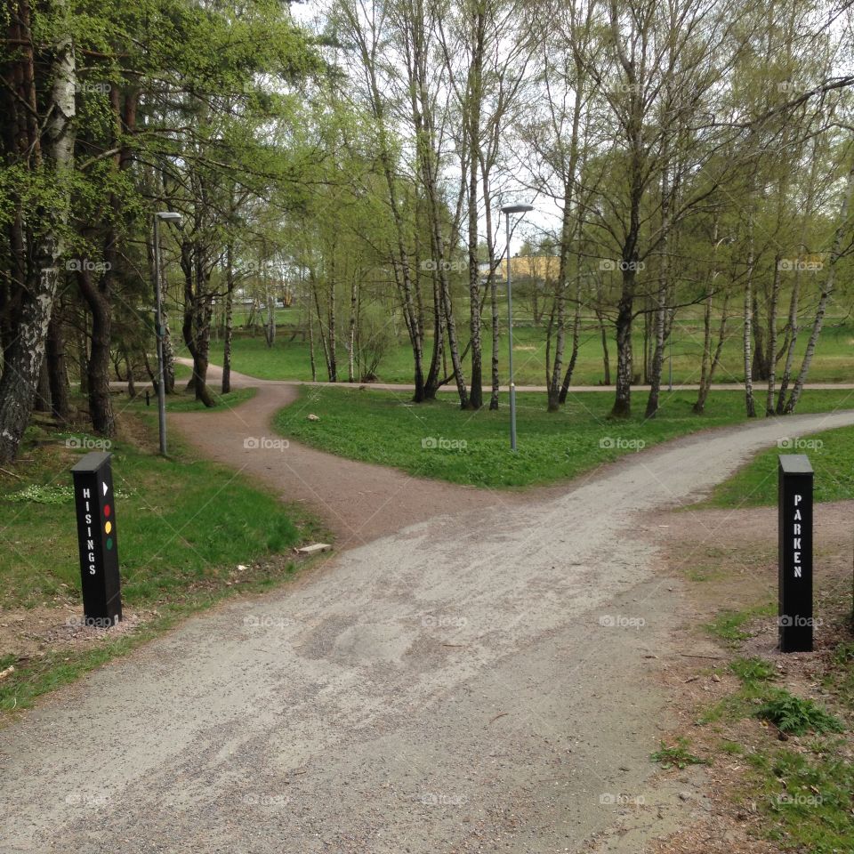 Hisingsparken . On my way home from work I have to pass this beautiful park. 