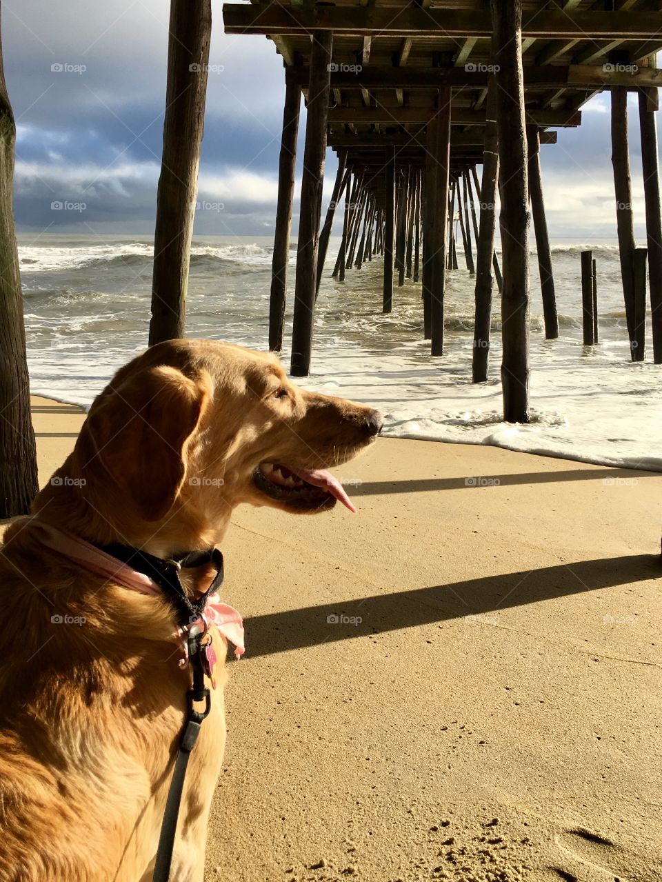 Watching the tide roll away. 