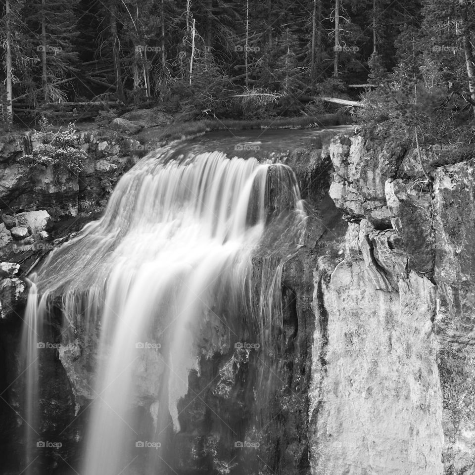 The rushing water of Paulina Falls smoothed out as Paulina Creek flows through the forest over a rocky cliff on a summer evening in Central Oregon. 