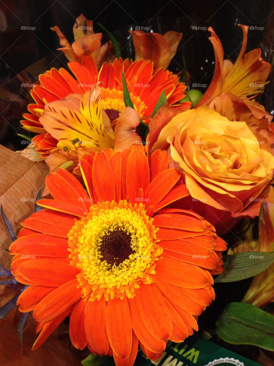 Flowers. Beautiful orange flowers