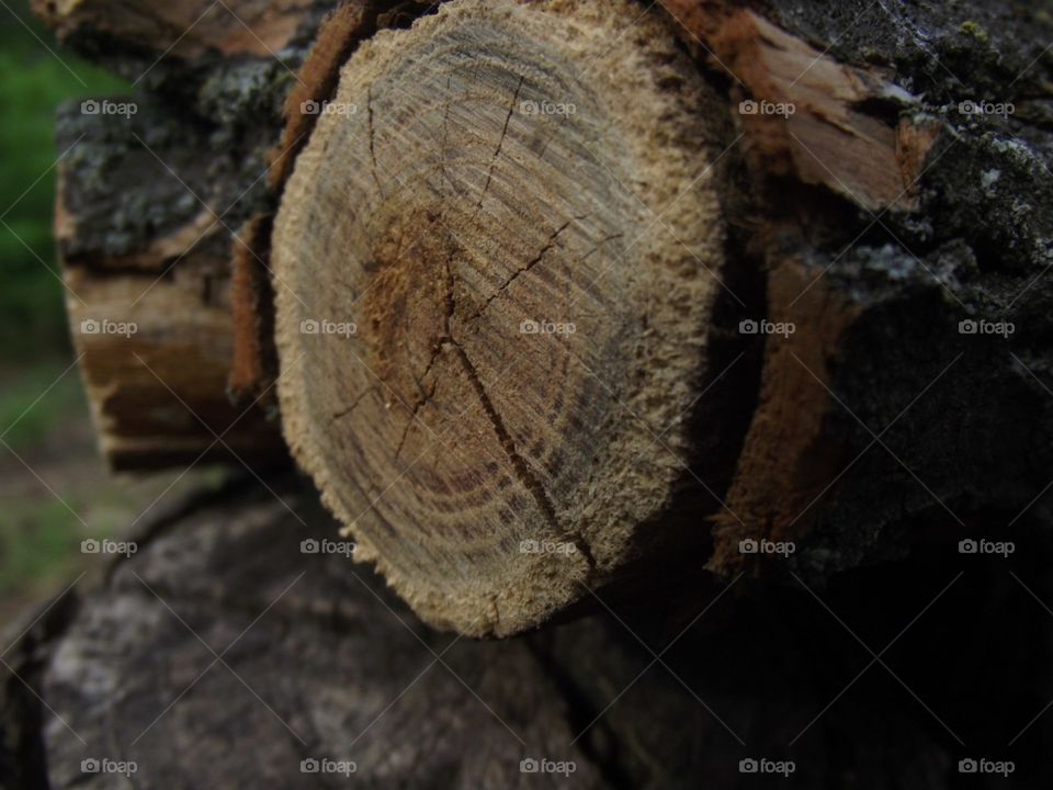 log