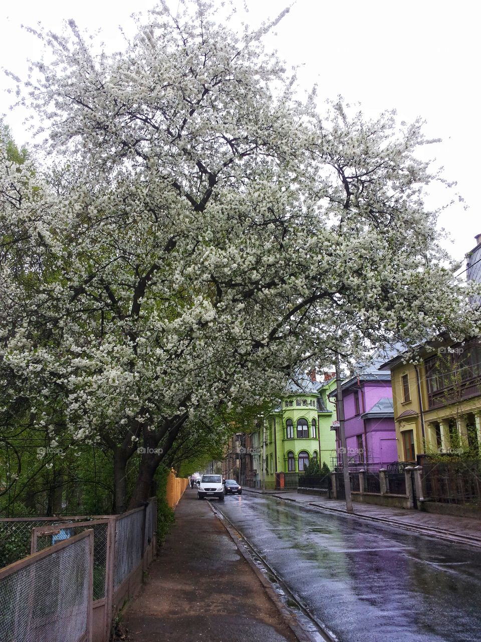 spring street