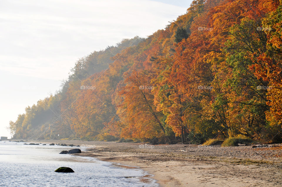 Autumn beach scene 