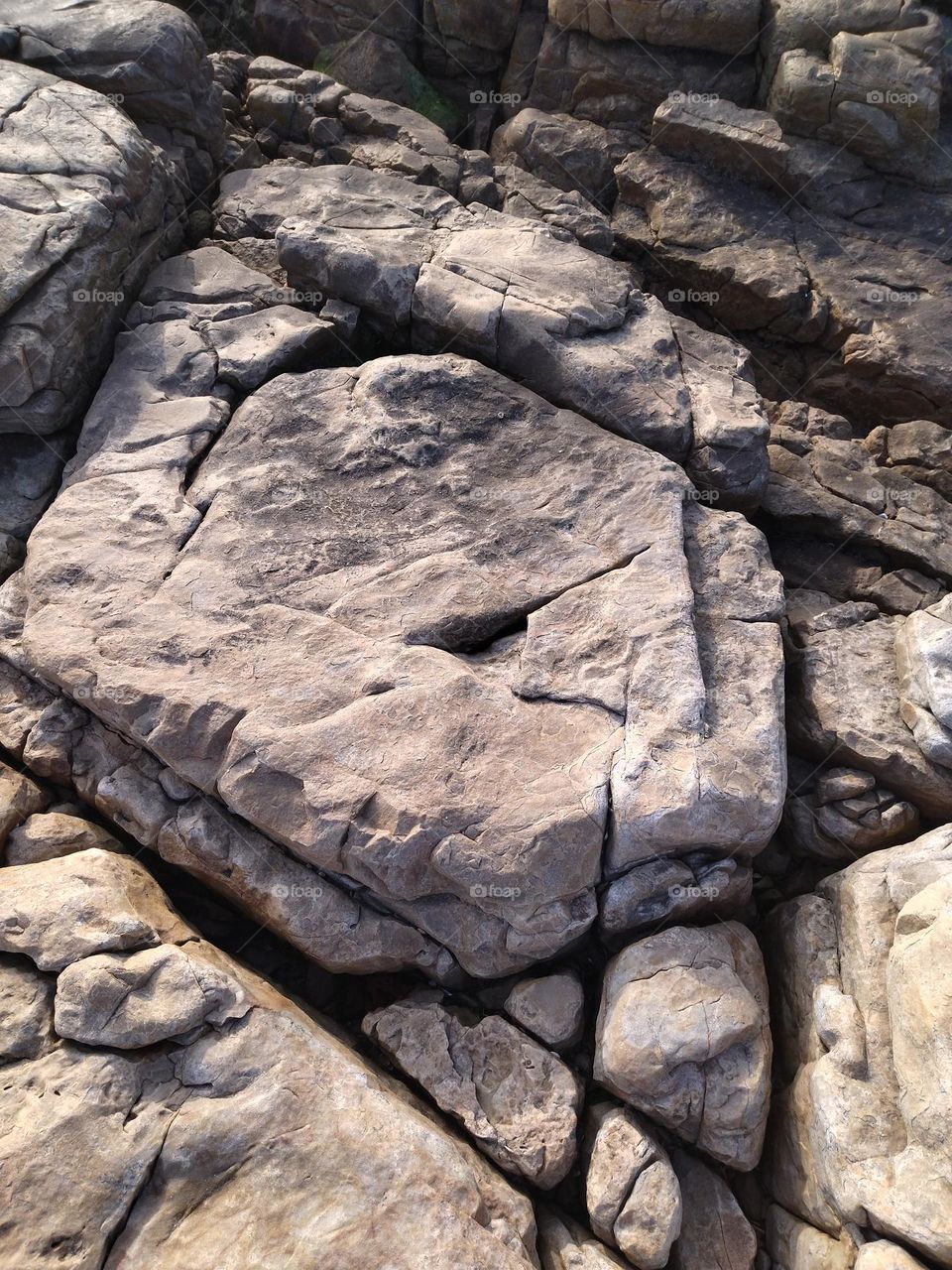 the rock design