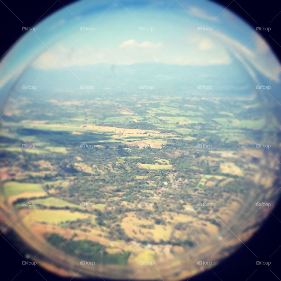 Flight Attendants View