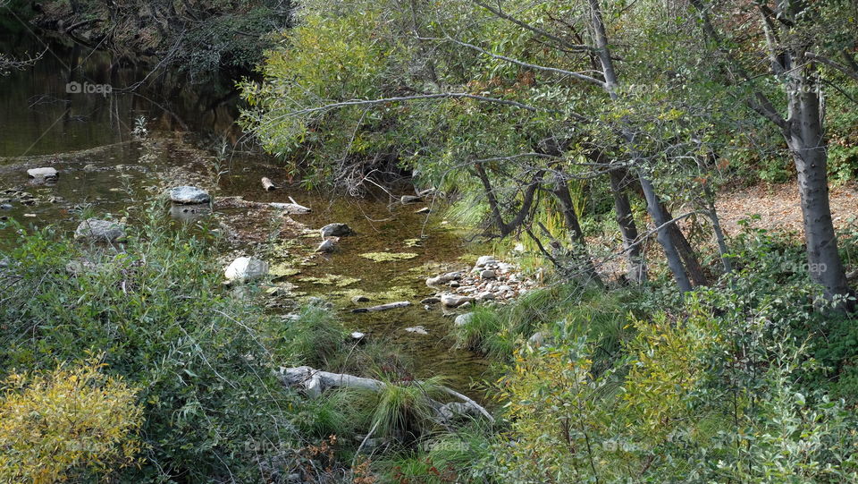 Water in a stream