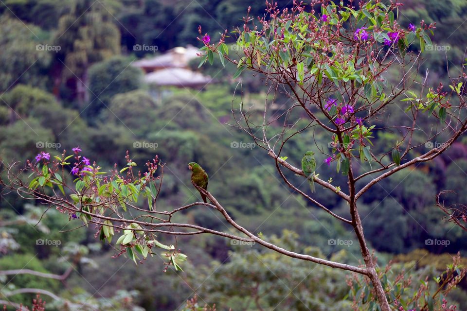 Spring is coming! The birds are excited about the most beautiful season of the year!