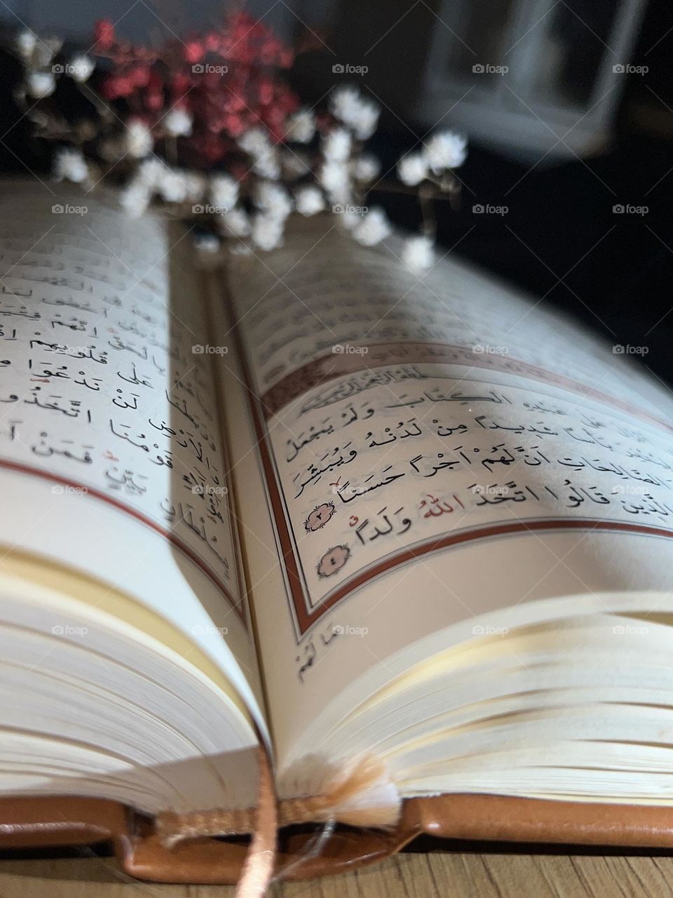 Quran & Ramadan 