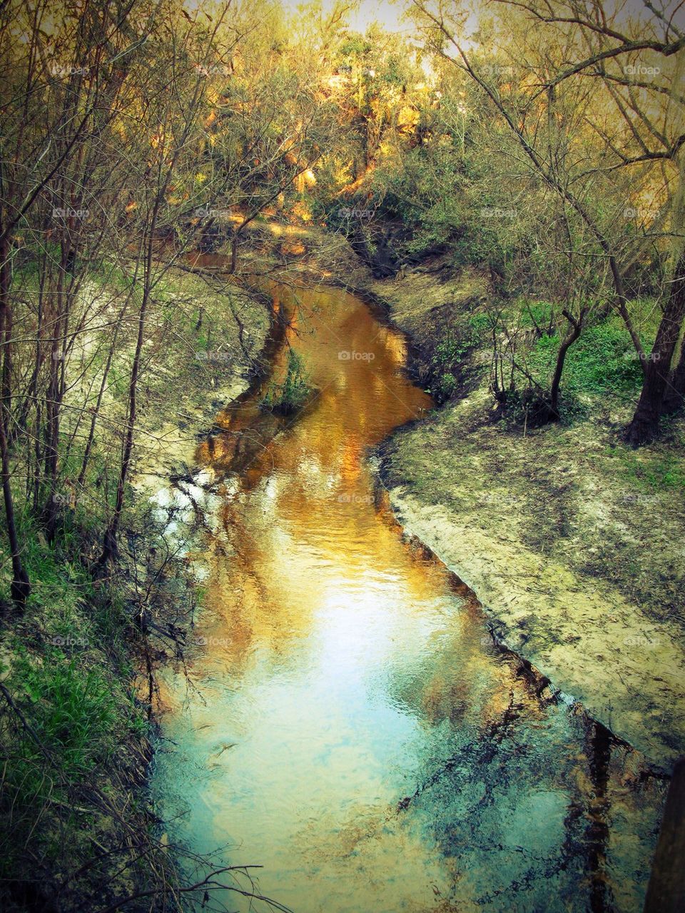 Color drenched creek