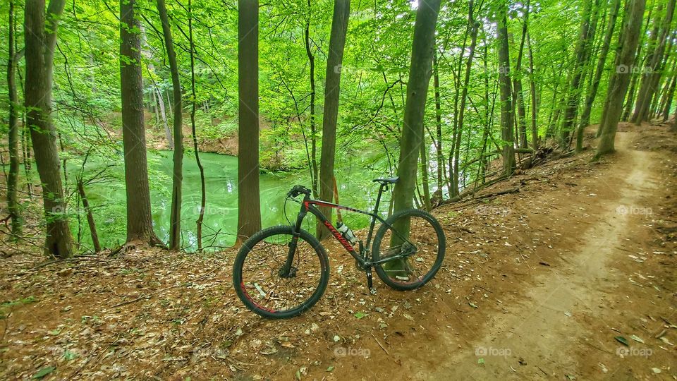 mountain bike near green bayou
