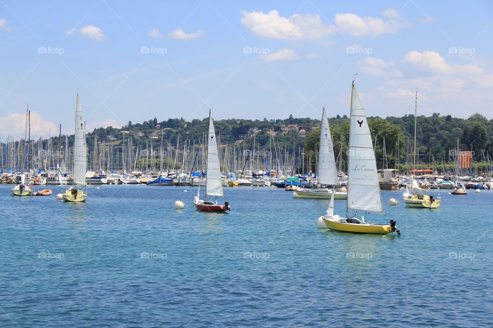Sailboats in Switzerland 