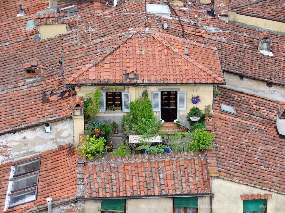 italy red town roof by lexilou