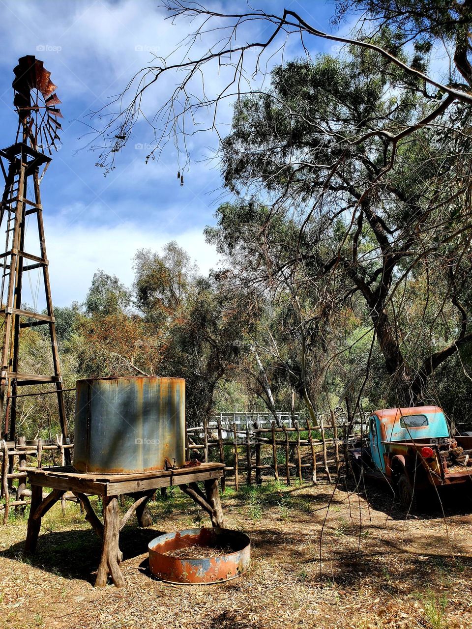 Several plant species gather around a antique farm in a unique display of biodiversity