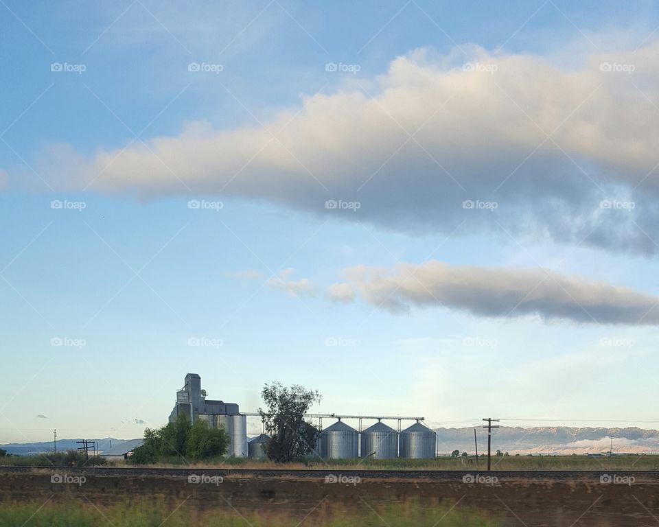 early morning drive past farms on California highway