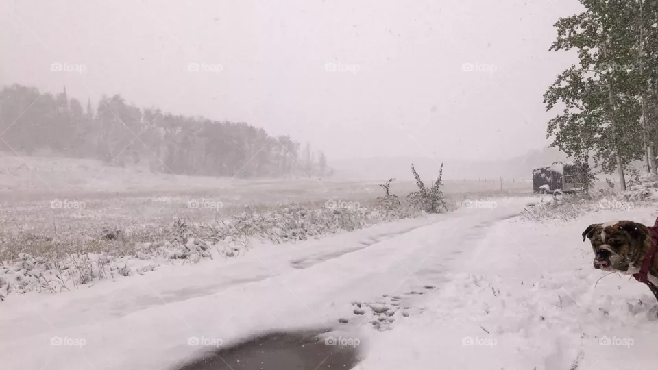Snow in September