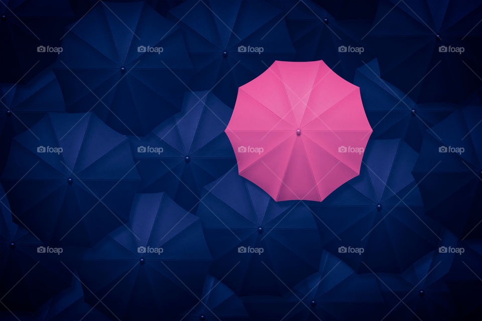 lovable pink umbrella