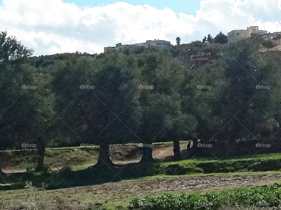 Population between the nature