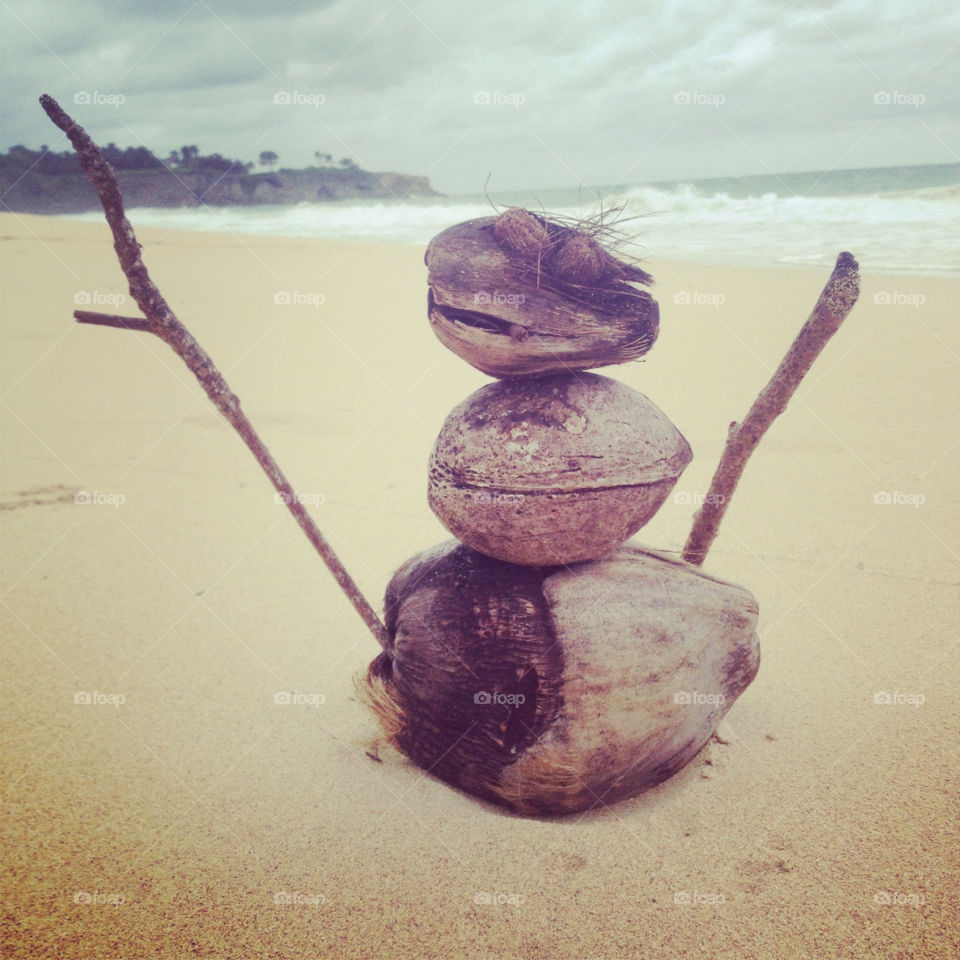 Coconuts are more fun than snow