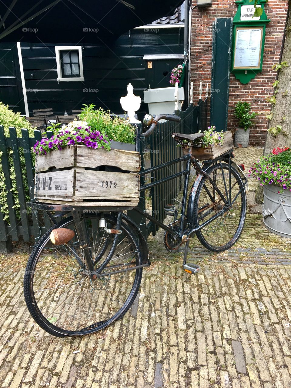 Amsterdam - Netherlands 