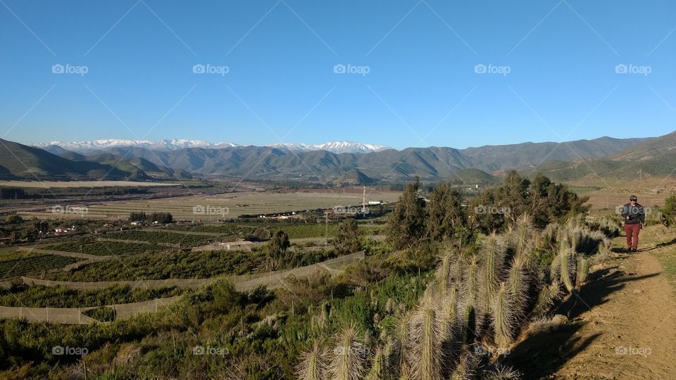 valle del Elqui, Woods and mountains