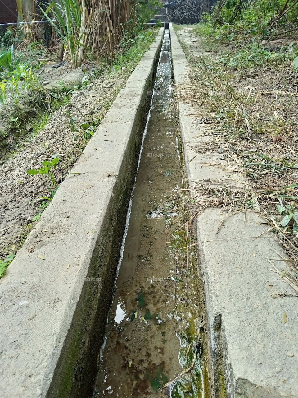 drain gutter photography Indian photography