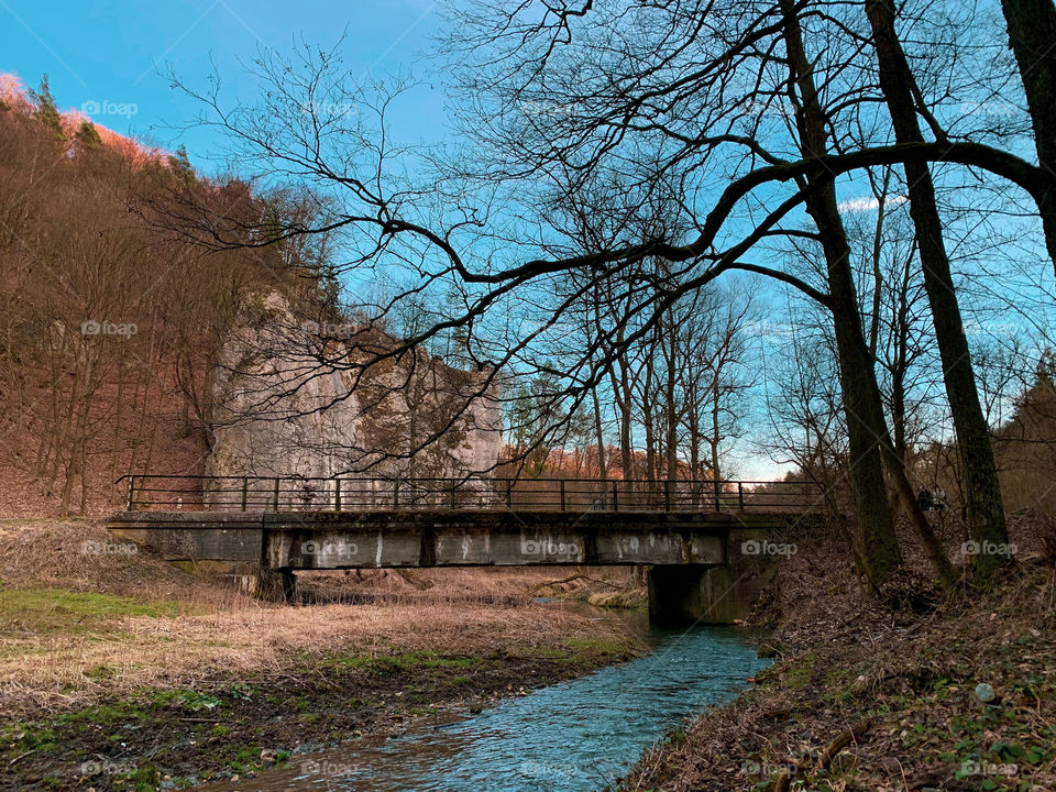 Прекрасная прогулка 