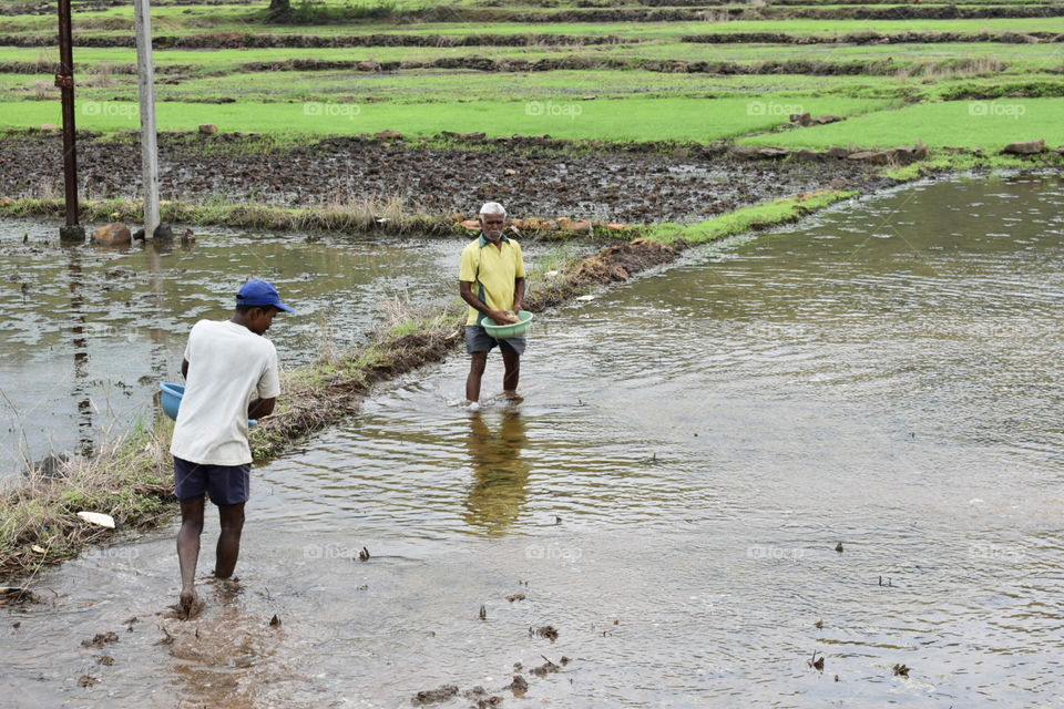 Agriculture in India. Photo from Murud Maharashtra