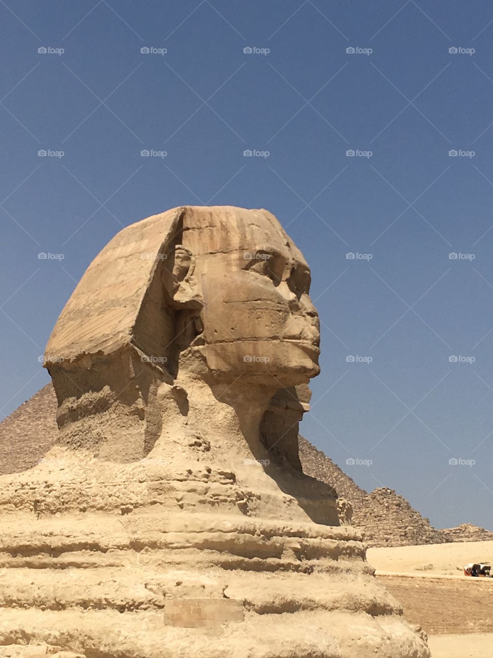 The Sphinx 