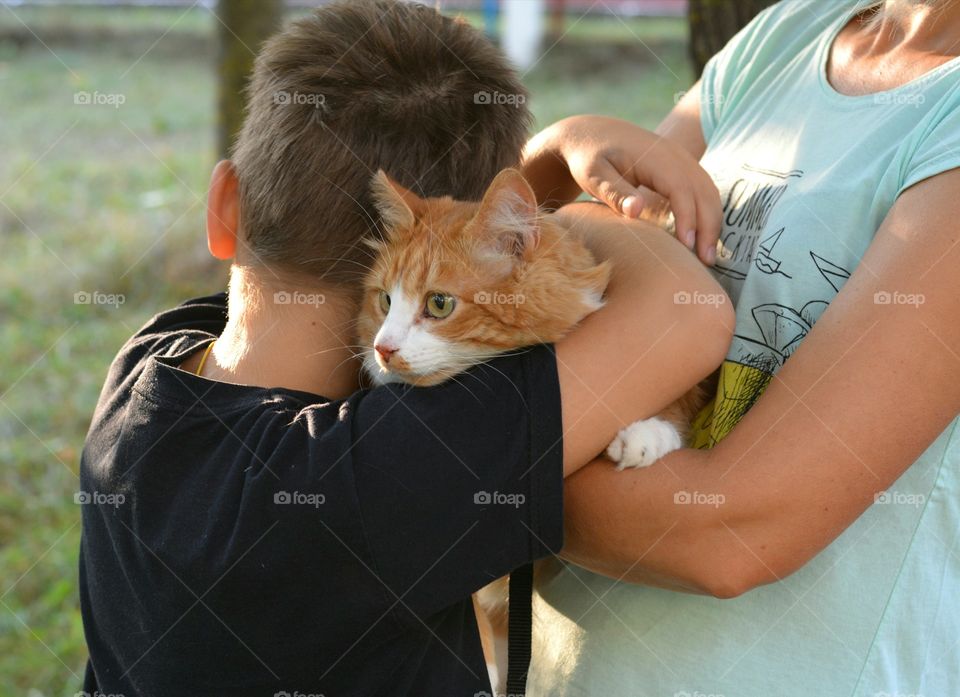 cat in the female hands and child boy outdoor