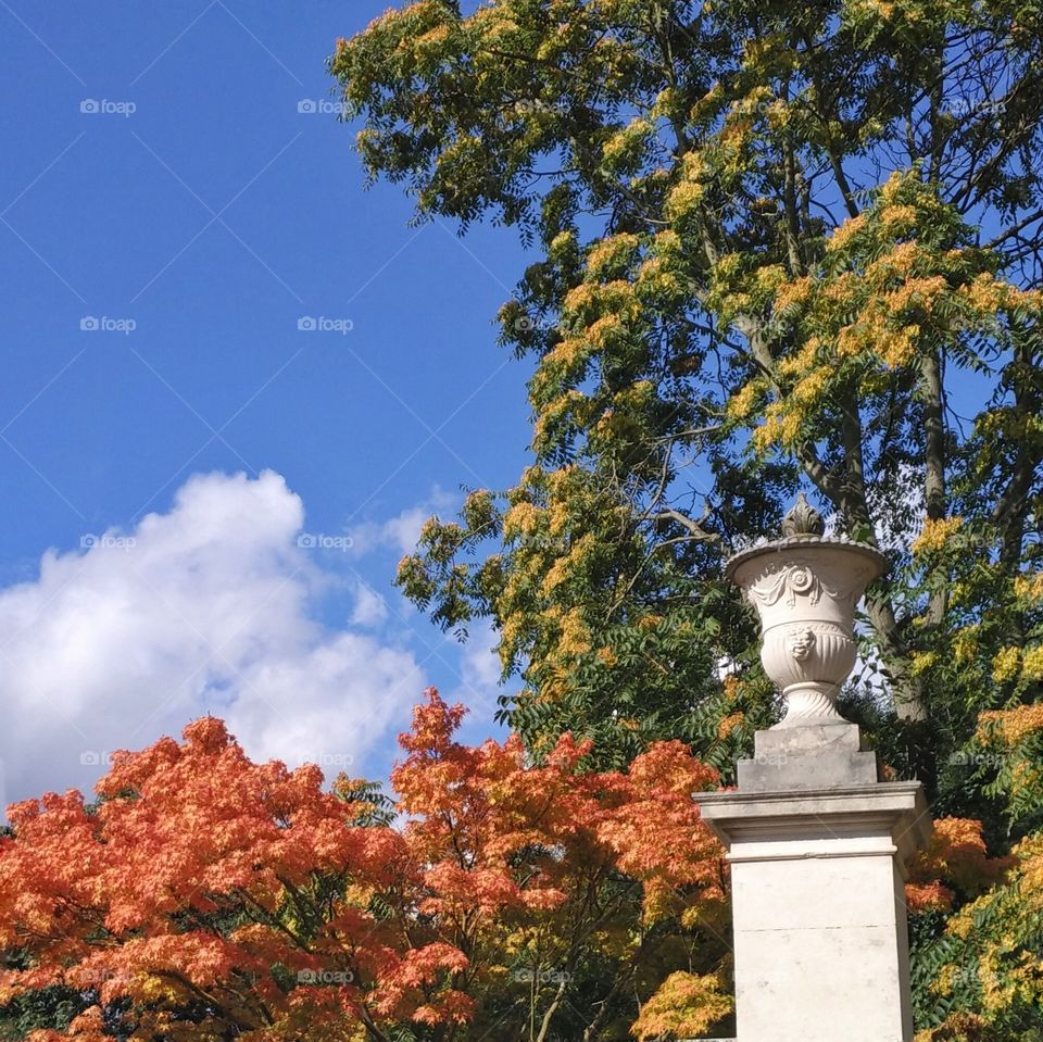 No Person, Fall, Architecture, Outdoors, Tree