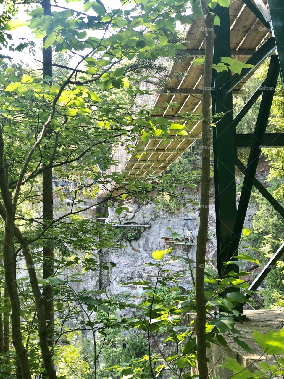 Suspended forest bridge connected to rock mountain during a refreshing summer nature trip
