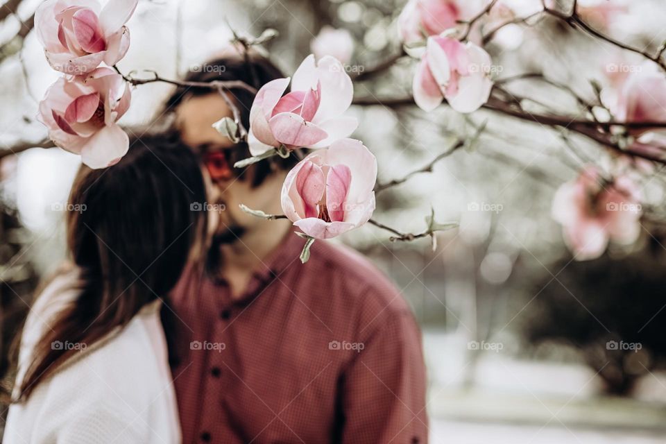 kisses in magnolia flowers
