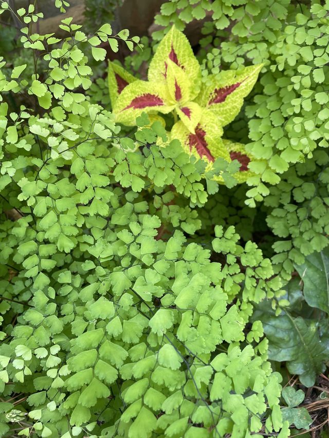 Green and red