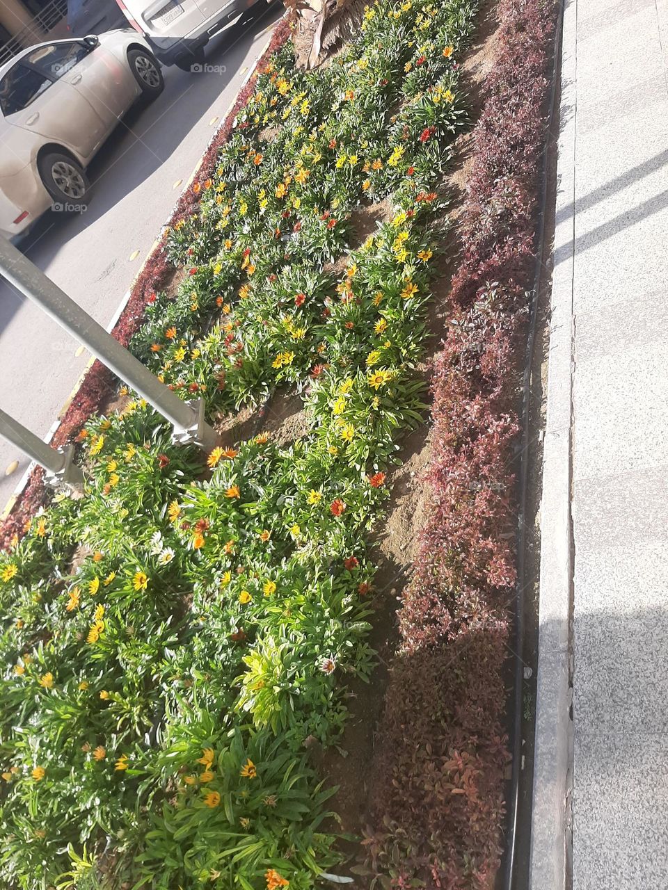 Please help me, I am very poor, I need your support and God is in need