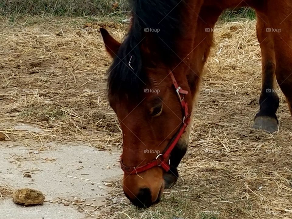 Driving the back Roads, Enjoying Nature