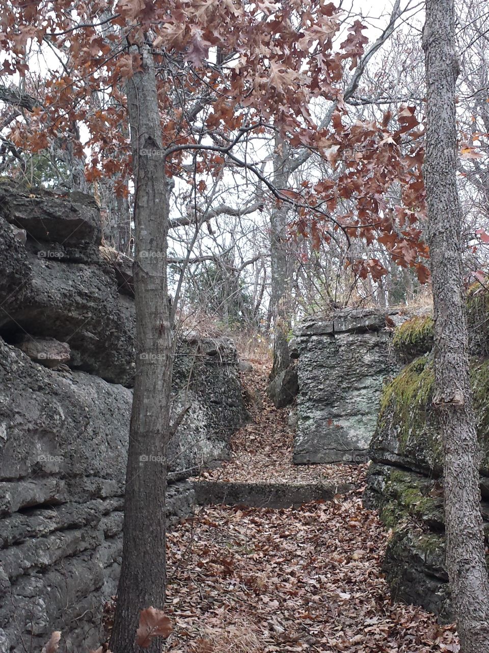 Monkey Mountain Views