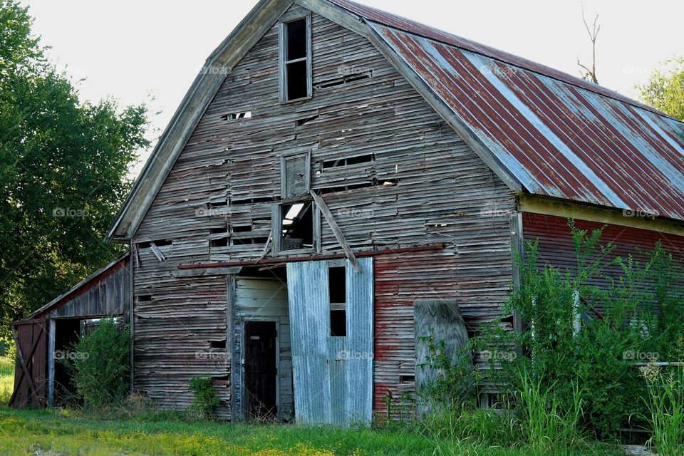 A weathered and battered barn sits vacant with a rusty metal roof, missing wood slatsand metal doors that are forever stuck in the open position