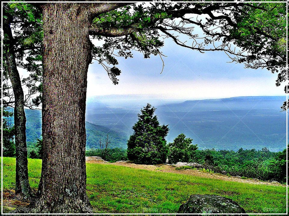Mt Nebo