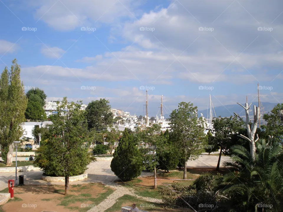 trees