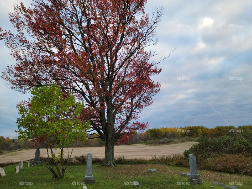 Halloween in a Cemetery