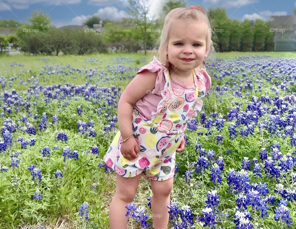 Girl in the field of flowers
