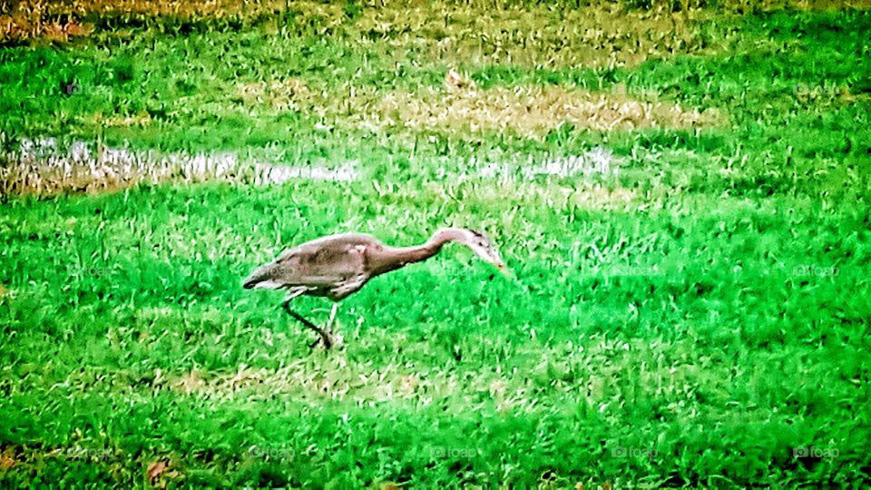 living BEAUTIFULLY & WONDERFULLY Made