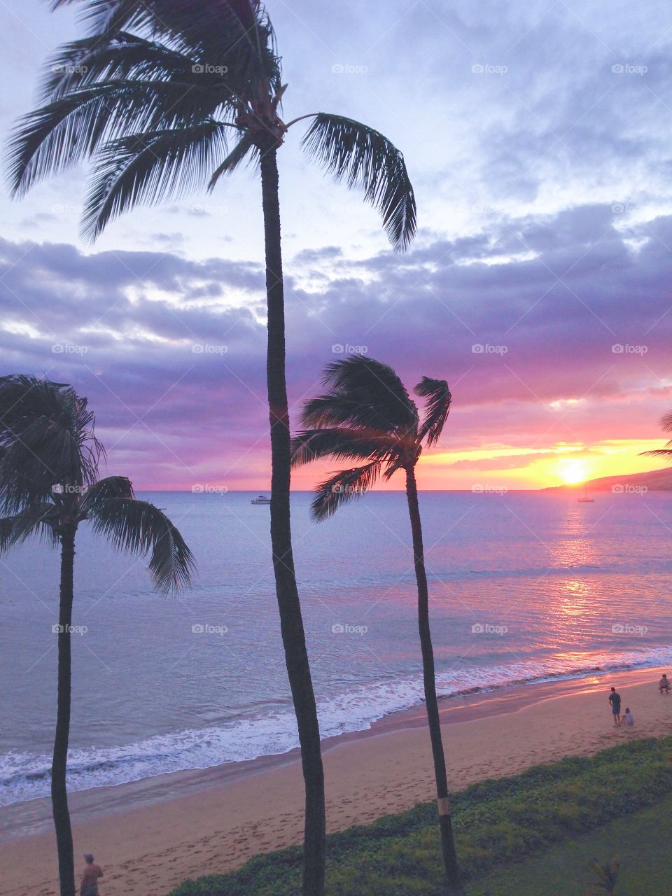 Hawaiian purple sunset