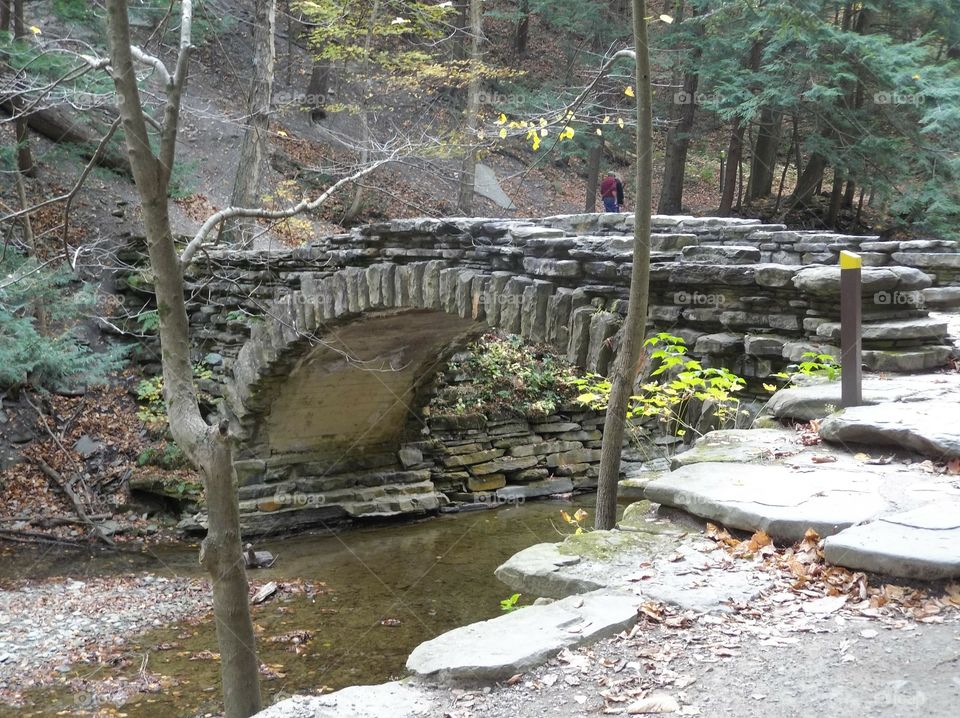 foot bridge in Stony Brook State Park